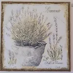 דירה Konstantina *