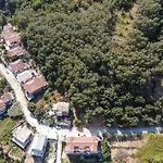 Konstantina