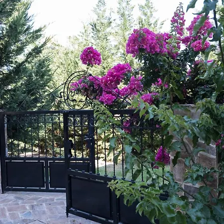 Konstantina דירה Petrití