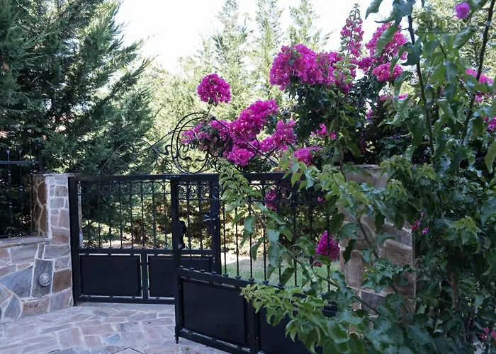 Konstantina Lejlighed Petrití